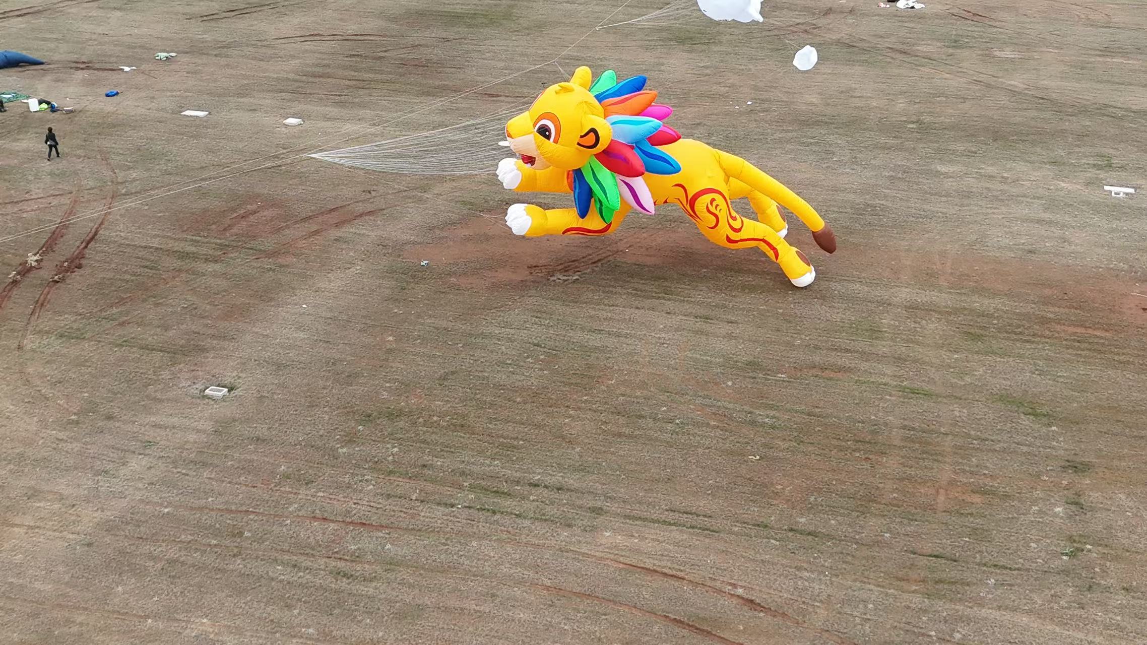 扬州市品牌风筝定制宣传风筝定制 - 哪里好