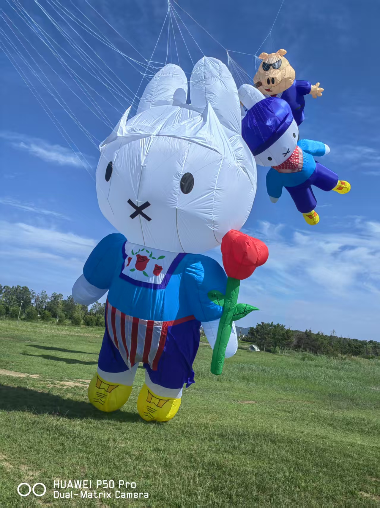 扬州市儿童风筝定制风筝制作 - 价格